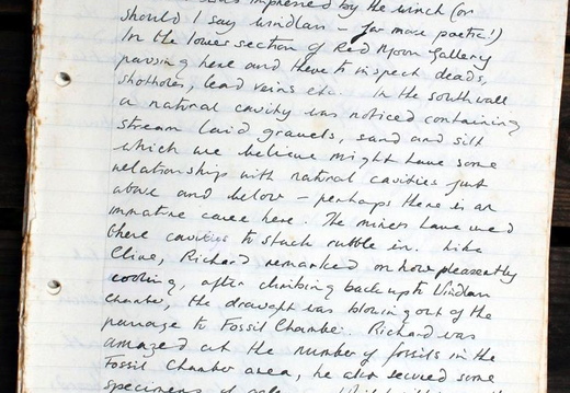 Page 011